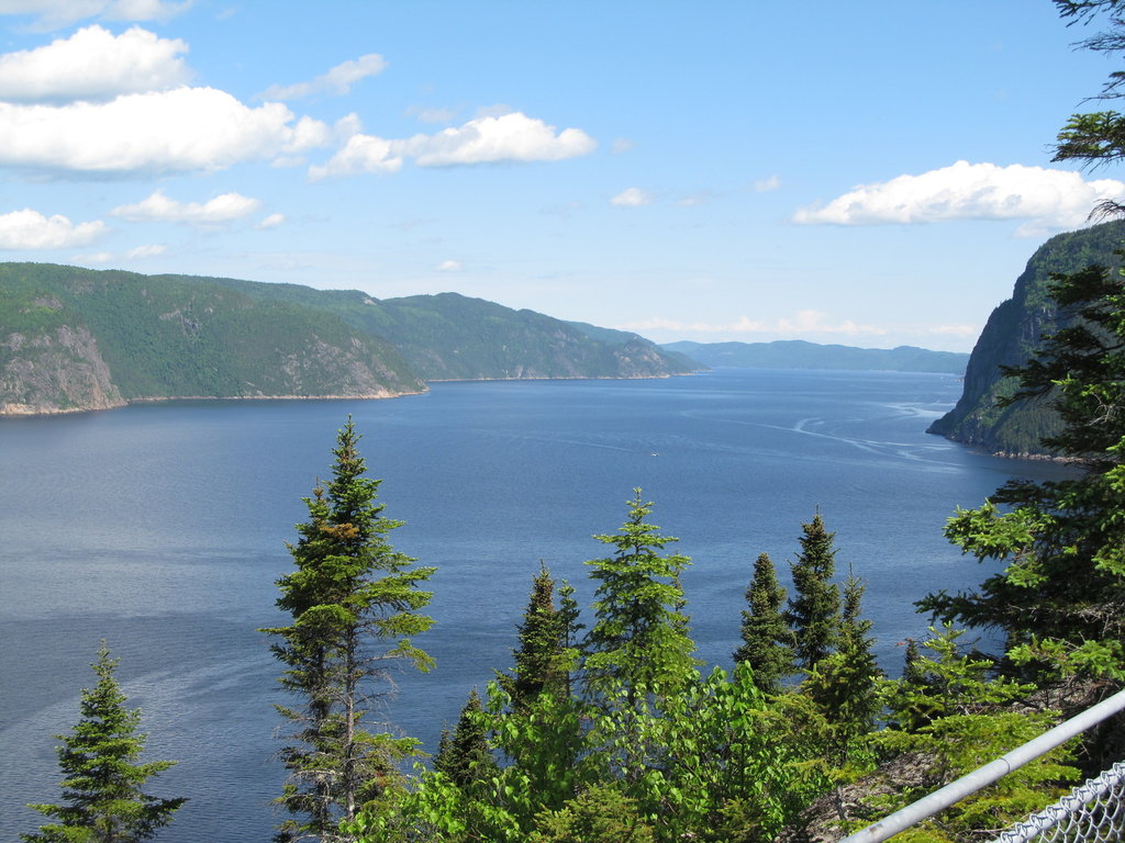 IMG-2113.JPG