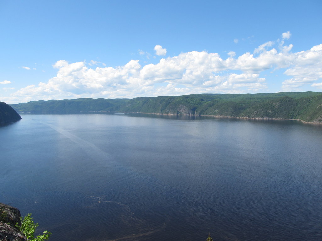 IMG-2114.JPG