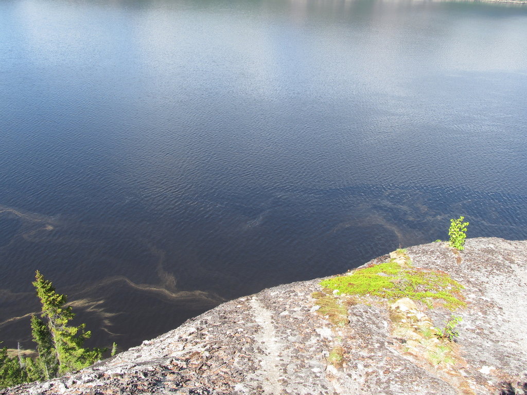 IMG-2115.JPG