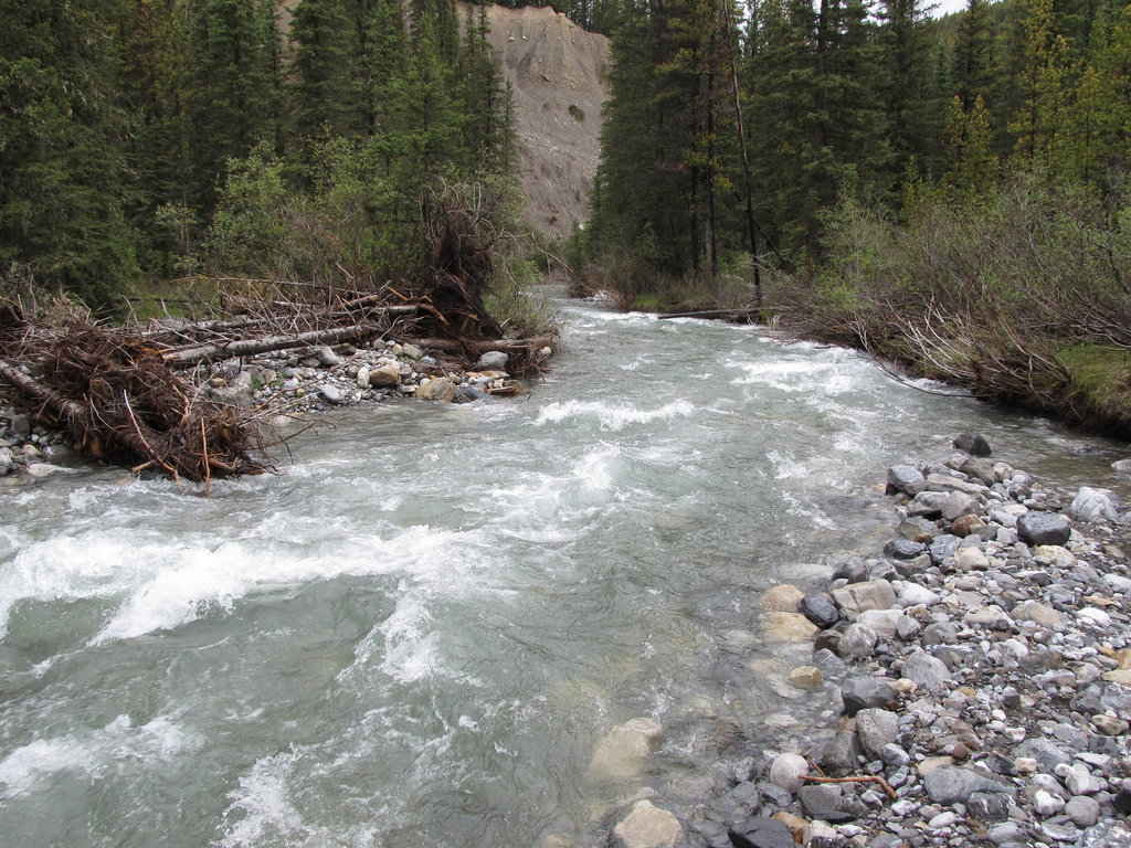 IMG-2119.JPG